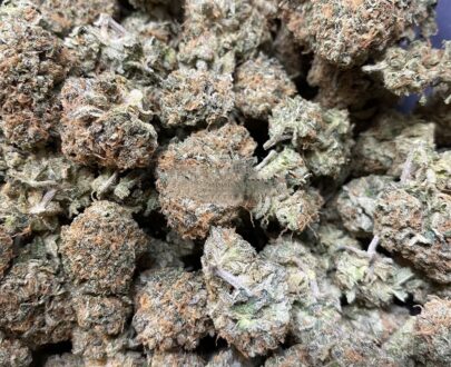 Close-up of Pinkman Goo cannabis buds with purple hues, orange hairs, and glistening trichomes