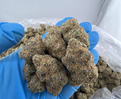 Close-up of Big Back cannabis strain featuring dense green buds with orange hairs and frosty trichomes.