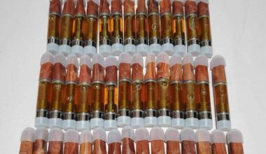 Alpha Spirit 1 g DMT vape cartridge filled with pure N,N-Dimethyltryptamine oil