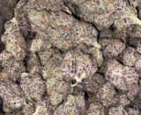 Close-up of White Cherry Runt cannabis buds with white trichomes and purple hues