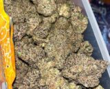 Frosty Honey Combs cannabis buds with golden trichomes and sweet aroma