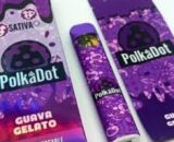polkadot